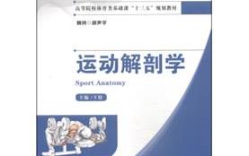 运动解剖学