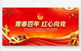 中国共产主义青年团成立100周年（第五期）