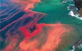 海赤潮应急处置